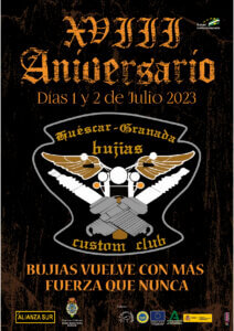 Bujías Custom Club
