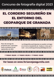 CONCURSO DE FOTOGRAFÍA DIGITAL 2023
